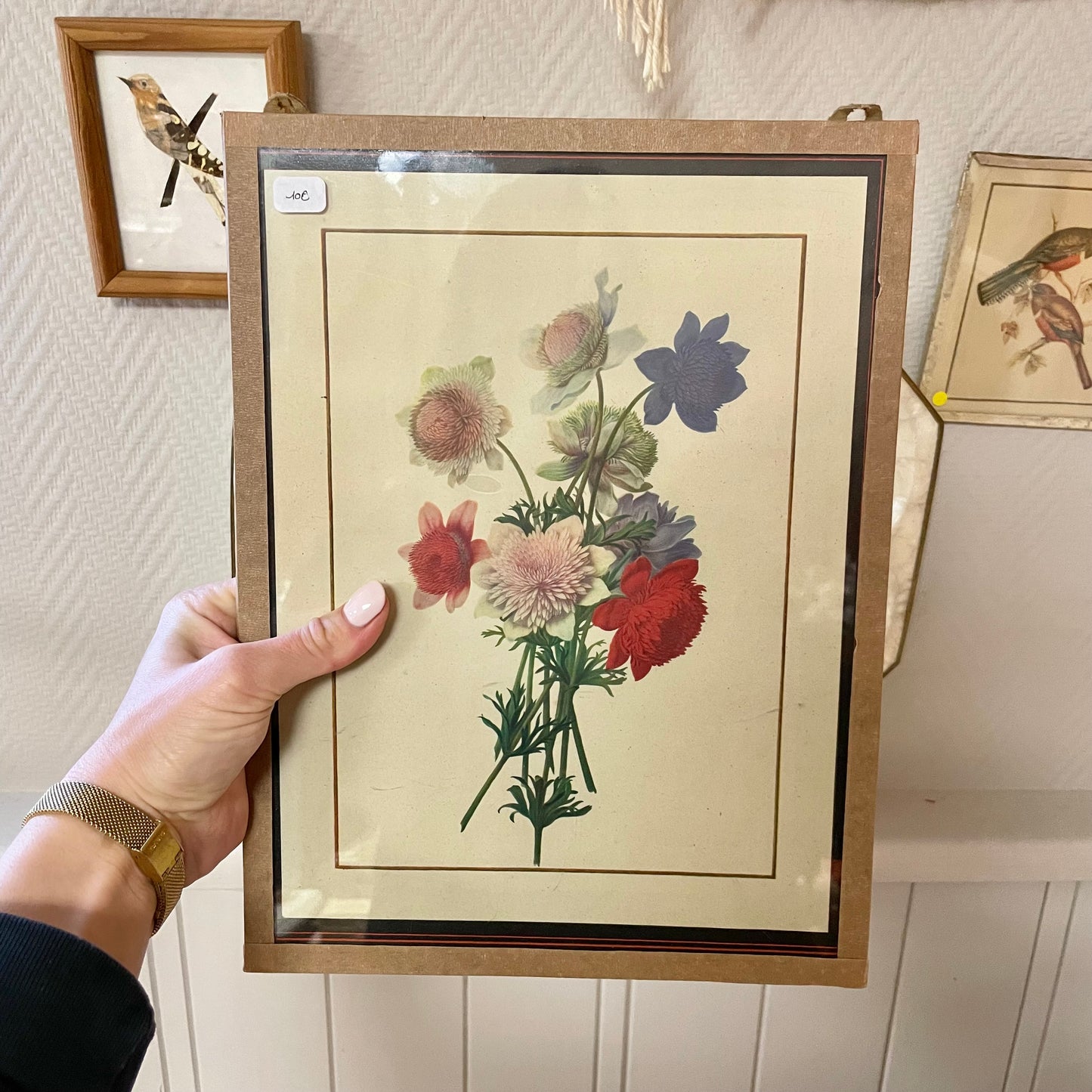Illustration herbier