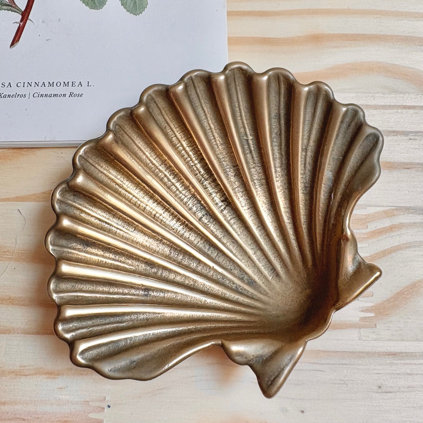 Vide poche en laiton coquillage