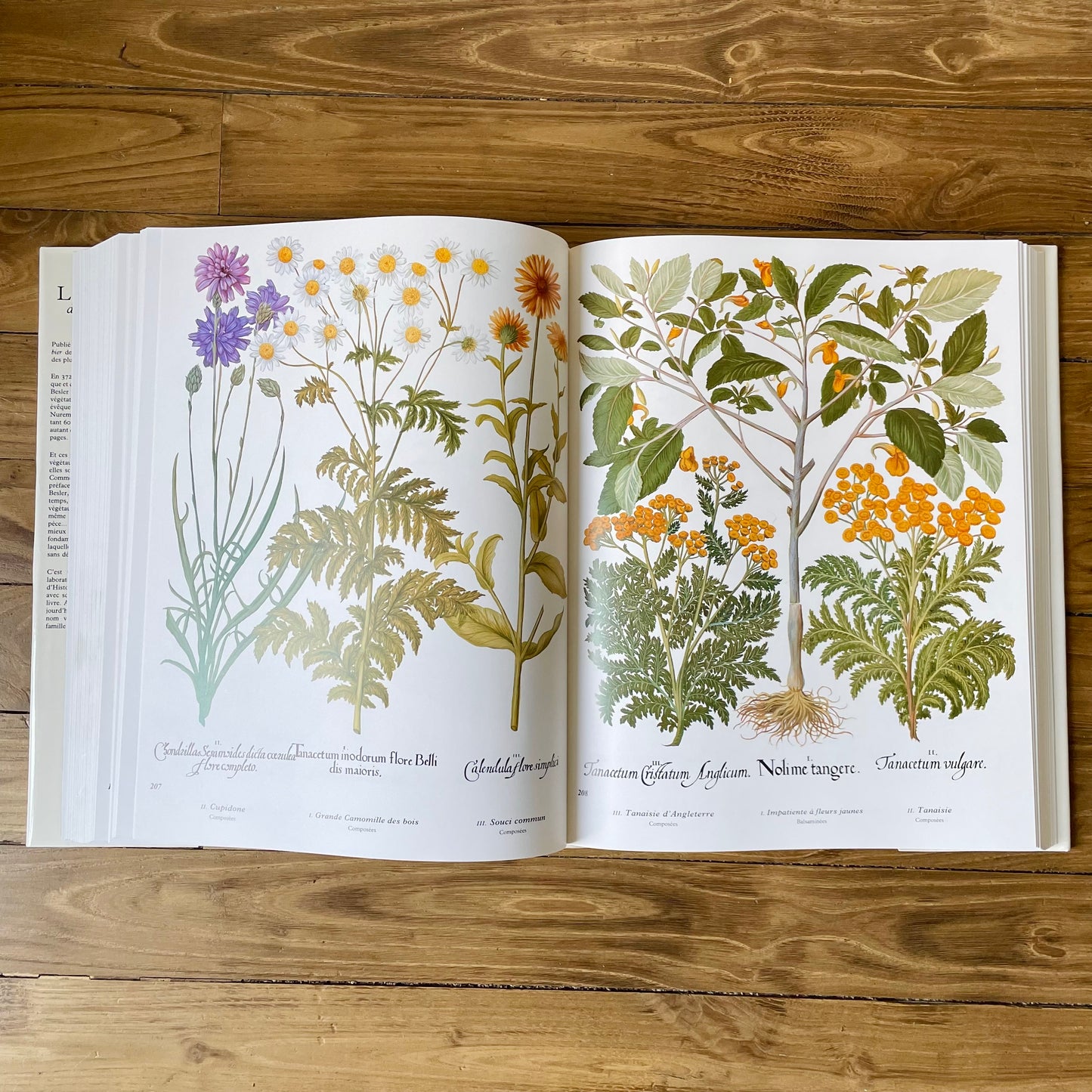 Livre L’herbier des quatre saisons - Mazenod