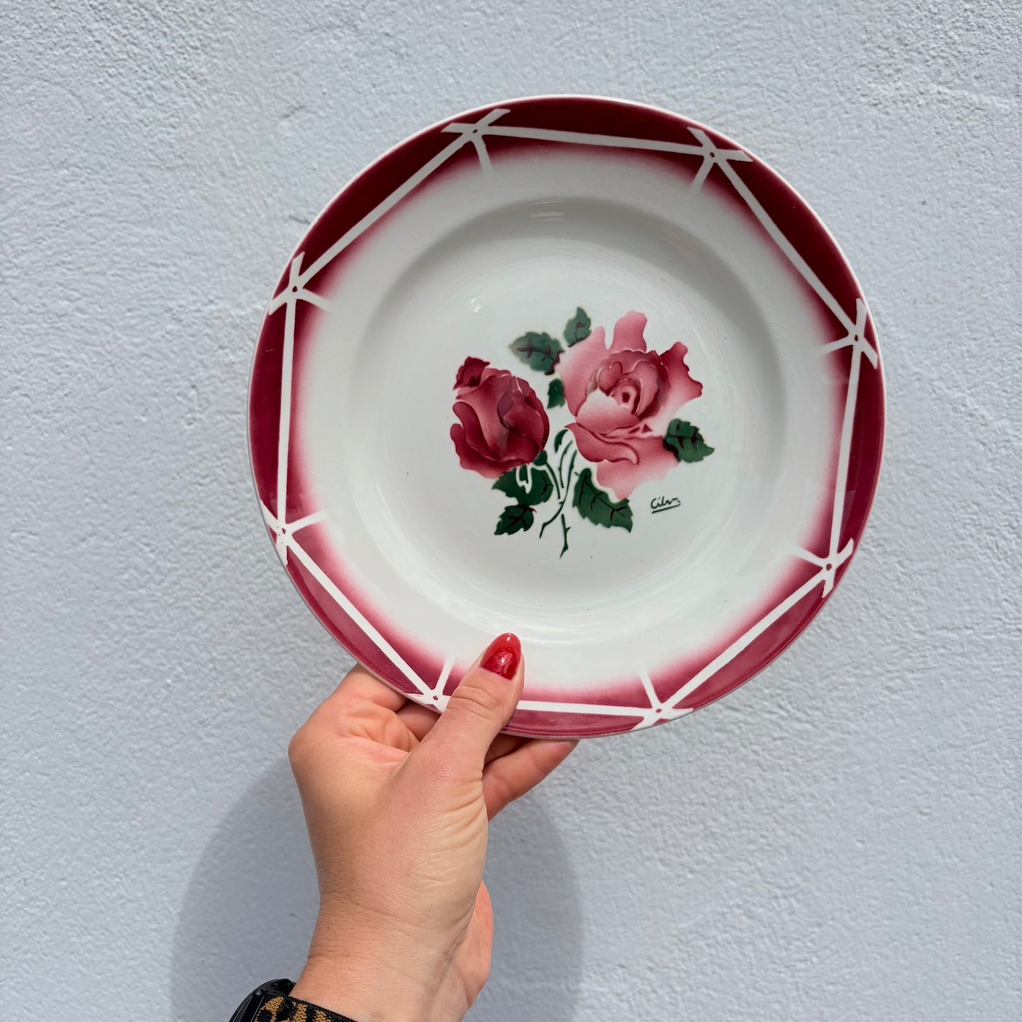 Lot de 12 assiettes Sarguemines