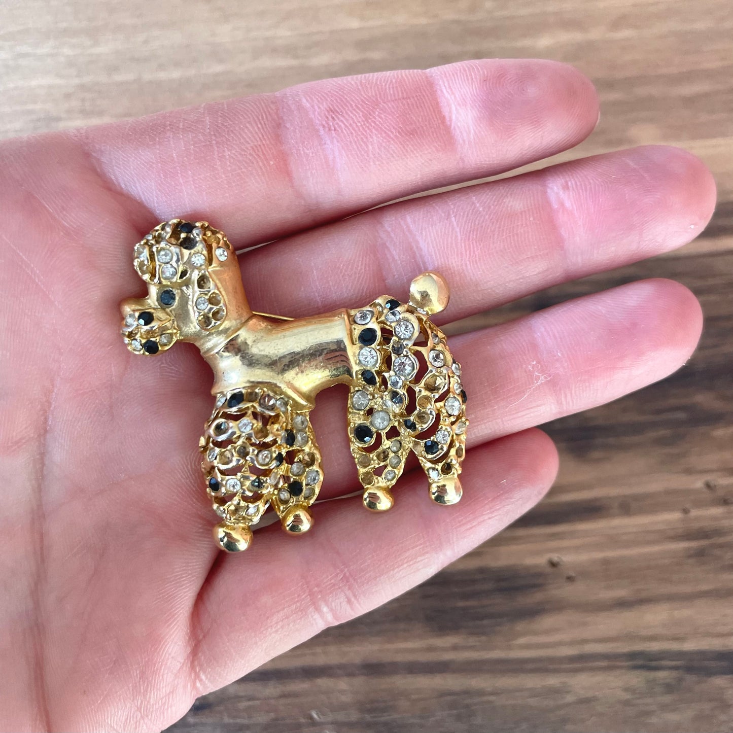 Broche caniche