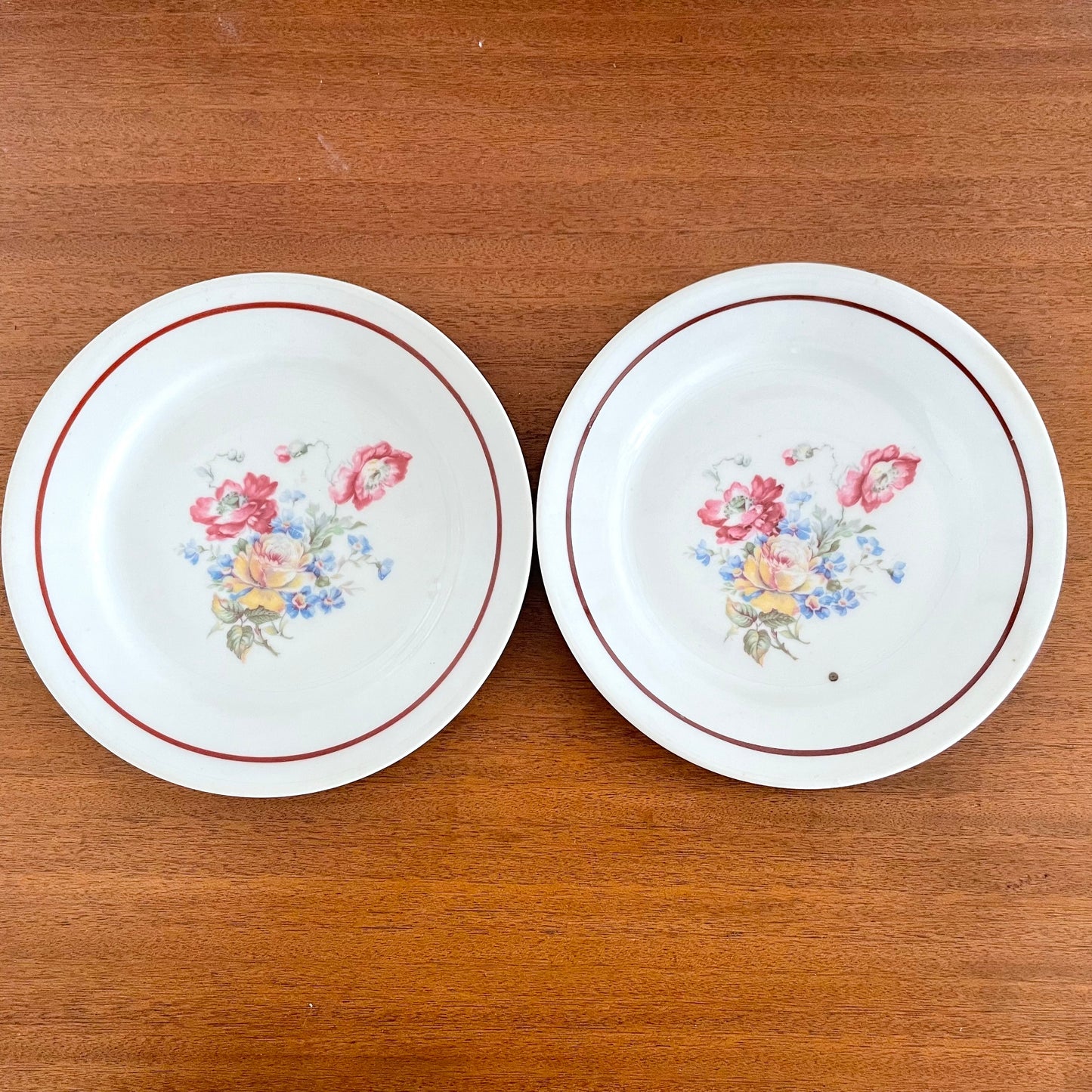 Lot de deux assiettes décors fleuris